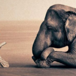 Fear is just a self-imposed illusion!!