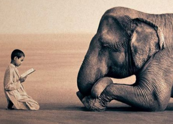 Fear is just a self-imposed illusion!!